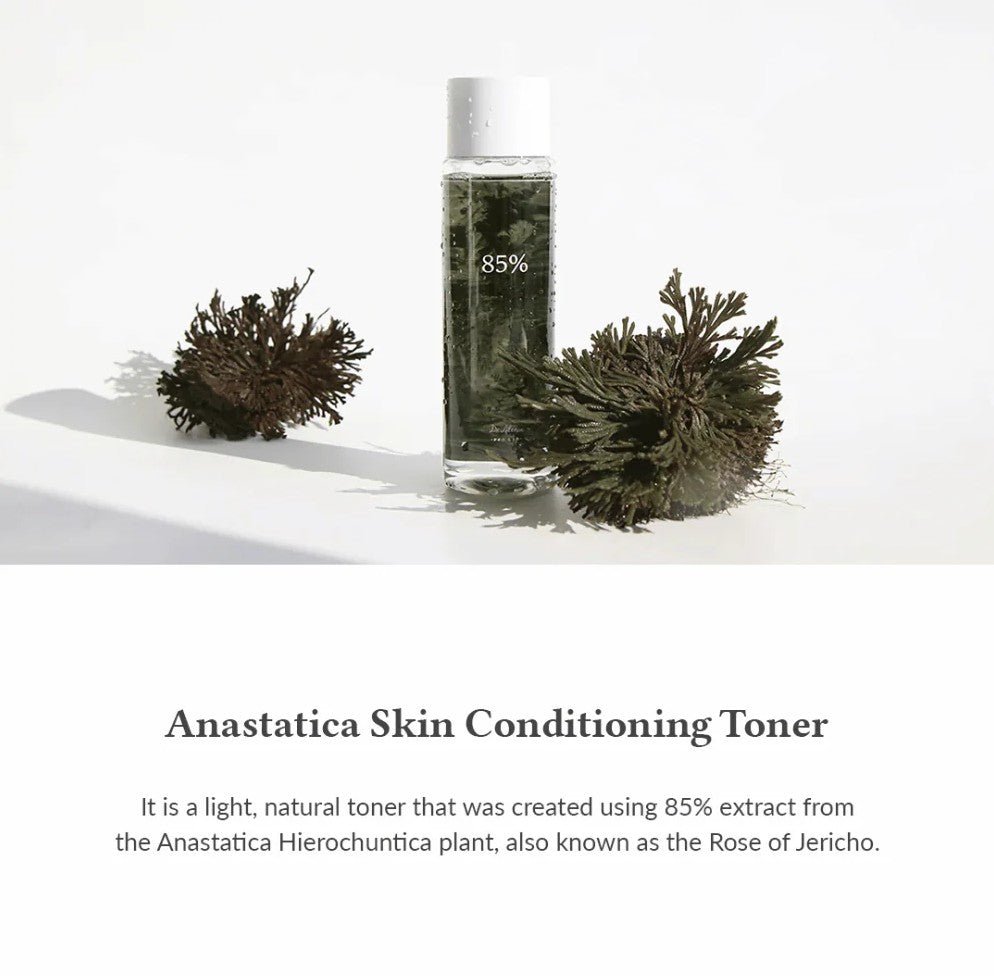 Dr Althea Anastatica Skin Conditioning Toner 250ml - | SKNLÛX