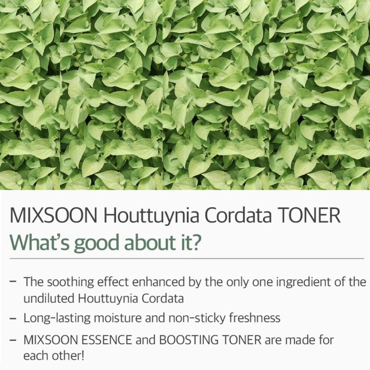 Mixsoon Heartleaf Toner 150ml