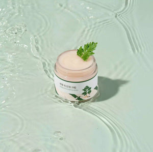 Round Lab Mugwort Calming Cream 80ml i en transparent behållare med mjuk kräm i vatten.
