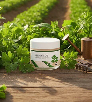 Round Lab Mugwort Calming Cream i en naturlig miljö med örter och verktyg.