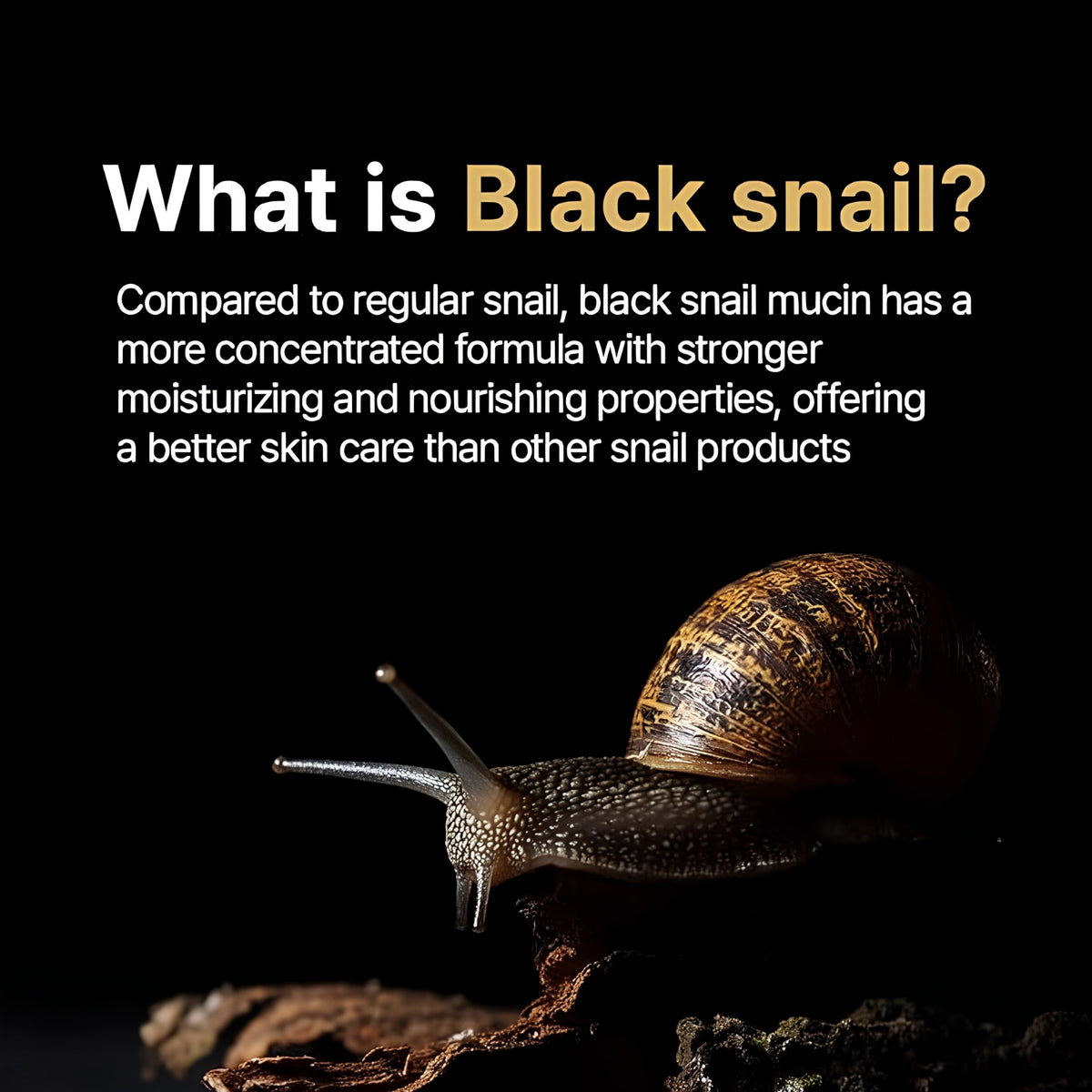 Farm stay Black Snail & Peptide9 Perfect Ampoule 35ml