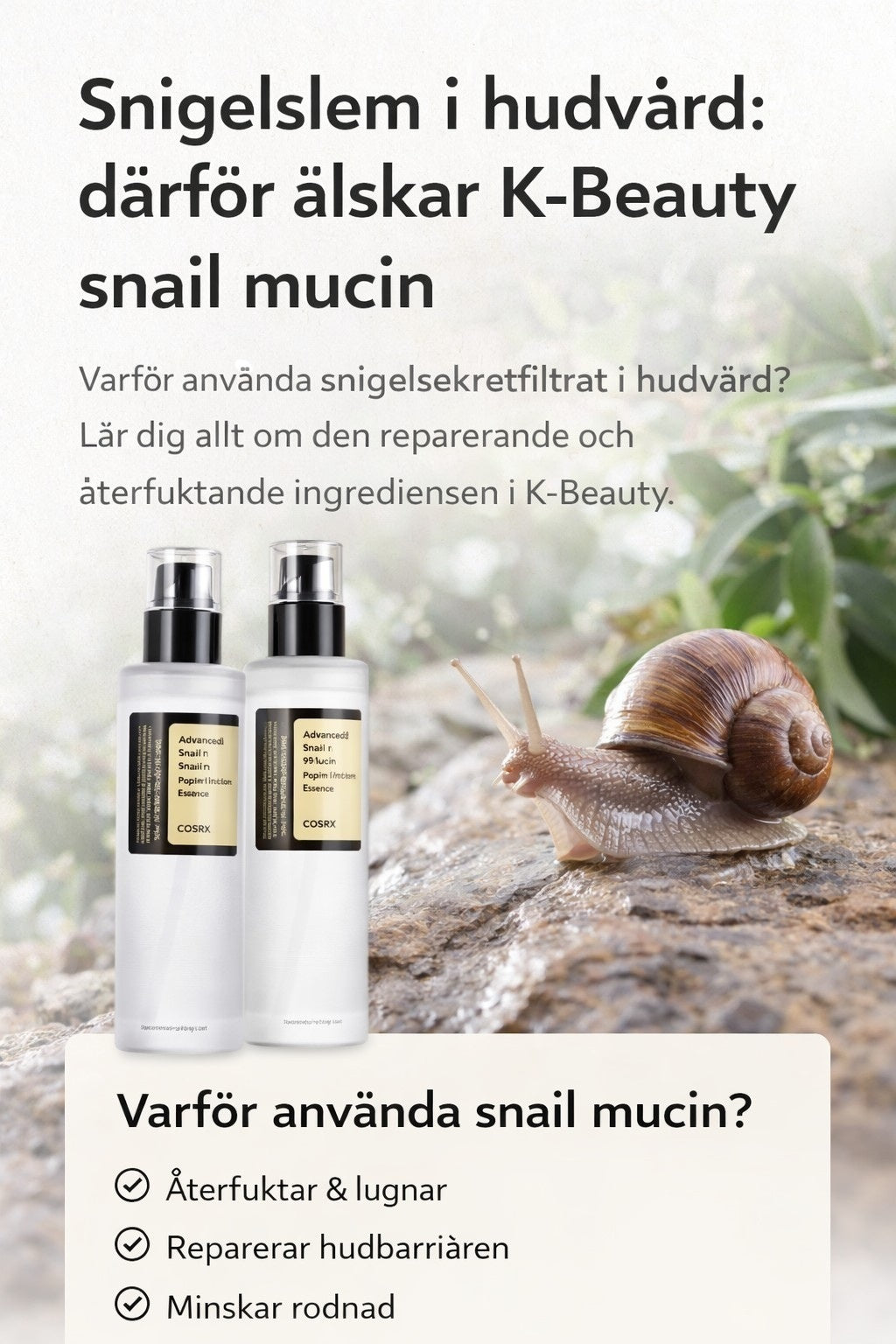 Snigelsekret/Snigelslem i hudvård: därför älskar K-Beauty snail mucin