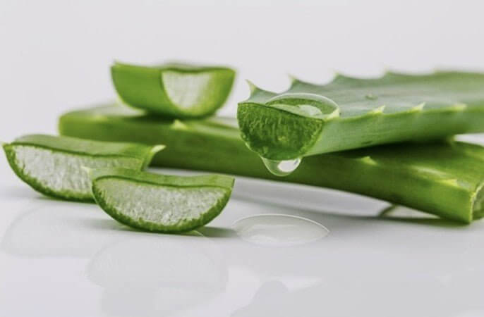Aloe Vera - SKNLÛX