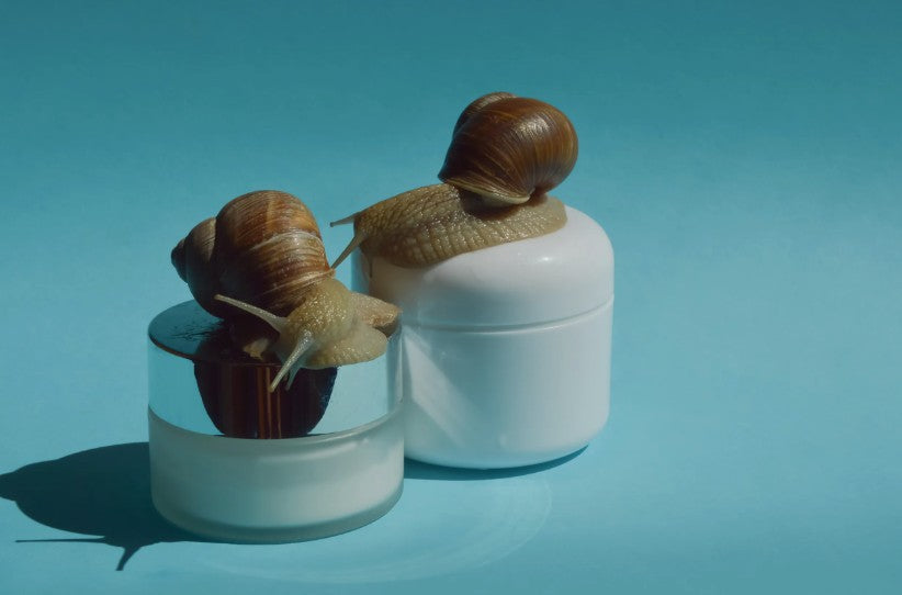 Snigelsekret/Snigelslem