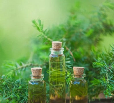 Tea Tree (Tea tree oil)