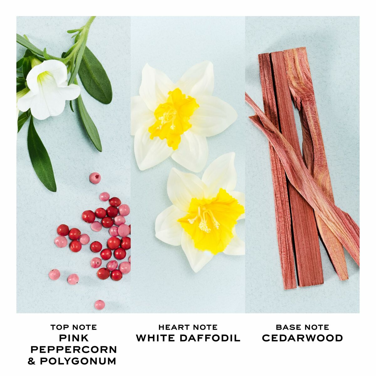 V2HC01E0E28DA16BBAB6ABCE9FF2960174AR7137004P3