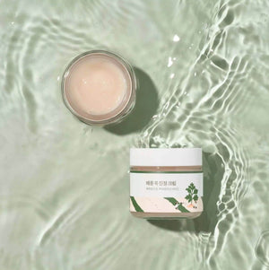 Round Lab Mugwort Calming Cream 80ml i en transparent miljö med vattenytor.