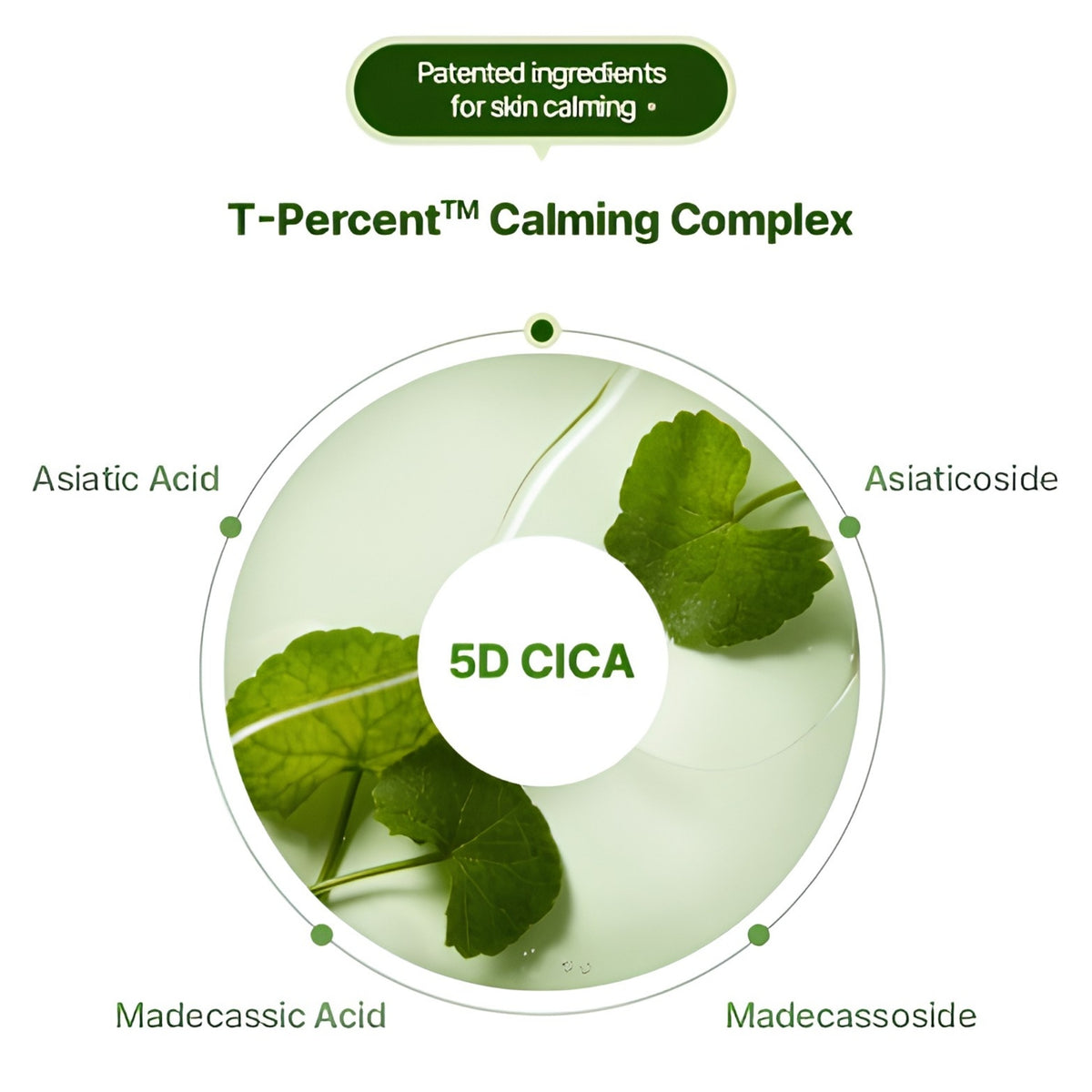 Torriden Balanceful Cica Cream 80ml
