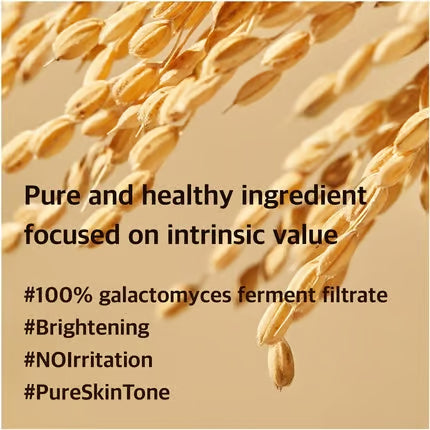 Galactomyces Ferment Essence 100ml